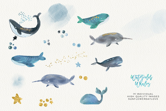 Whale Watercolour Clip Arts in Illustrations - product preview 3