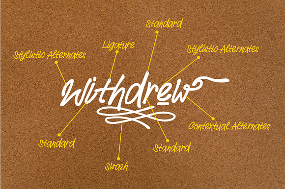 Withdrew - Modern Script Font in Script Fonts - product preview 5