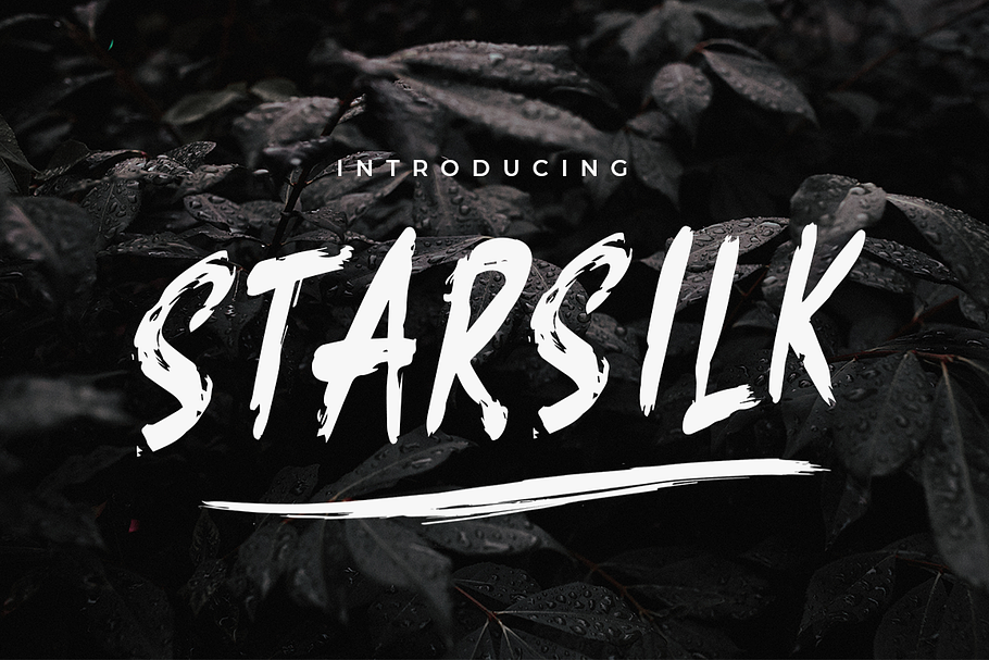 Starsilk Brush Font in Display Fonts - product preview 8