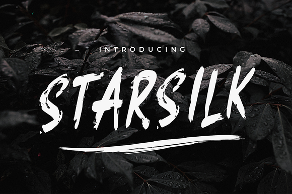 Starsilk Brush Font in Display Fonts - product preview 4