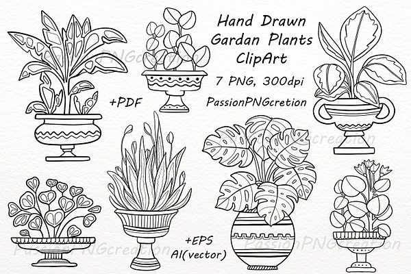 Hand Drawn Garden Plants Clipart