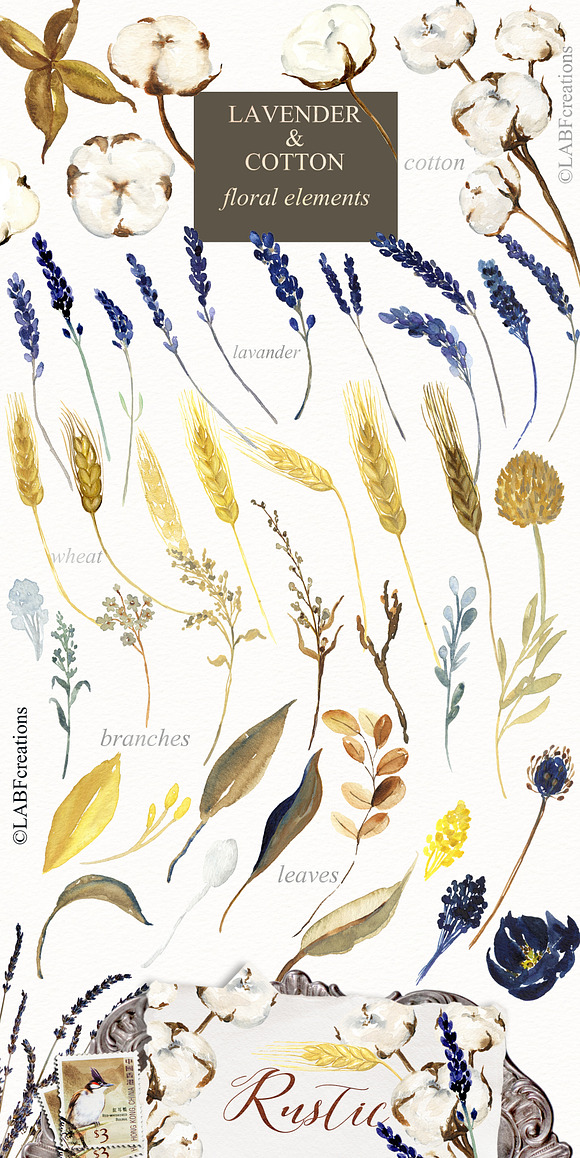 50%OFF Lavender & Cotton Watercolor in Illustrations - product preview 3