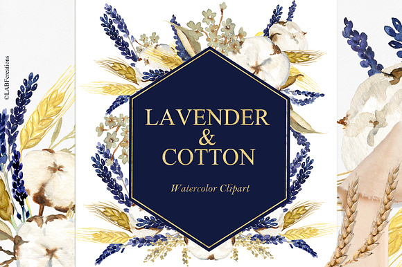 50%OFF Lavender & Cotton Watercolor in Illustrations - product preview 4