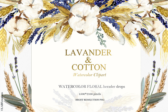 50%OFF Lavender & Cotton Watercolor in Illustrations - product preview 6