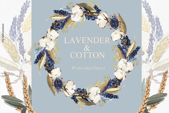 50%OFF Lavender & Cotton Watercolor in Illustrations - product preview 10