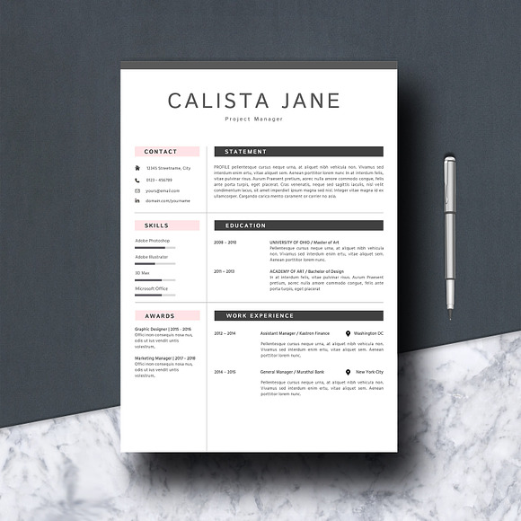 Professional Resume CV Template in Resume Templates - product preview 1