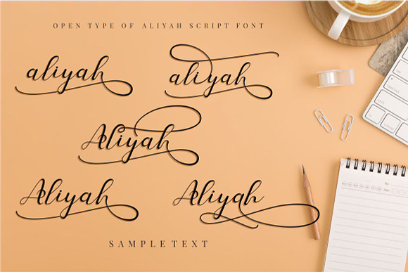 Aliyah in Script Fonts - product preview 3