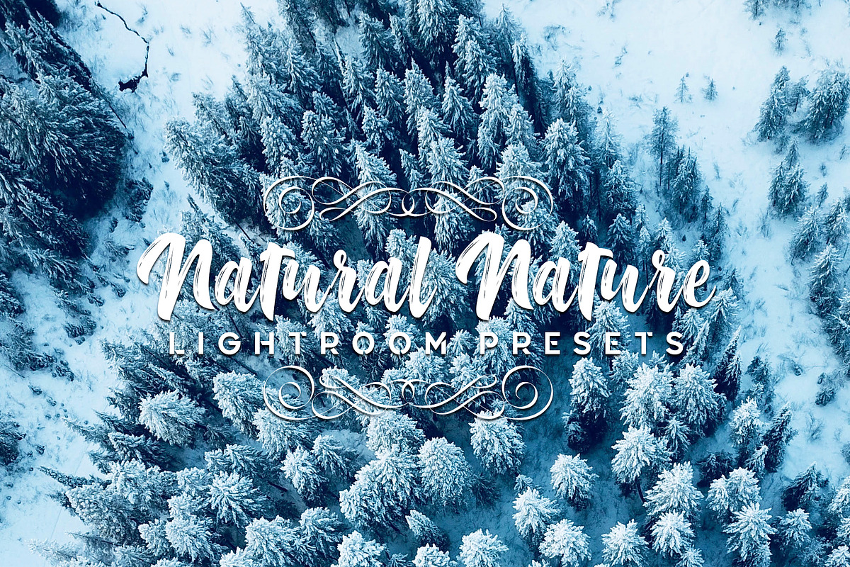 Natural Lightroom Presets in Add-Ons - product preview 8