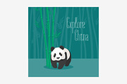 Chinese panda bear vector