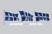 Set of Martinique flags vector