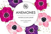 Anemones Pack