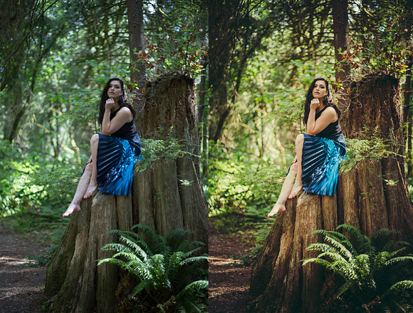 Magical Woods 10 Lightroom presets in Add-Ons - product preview 4