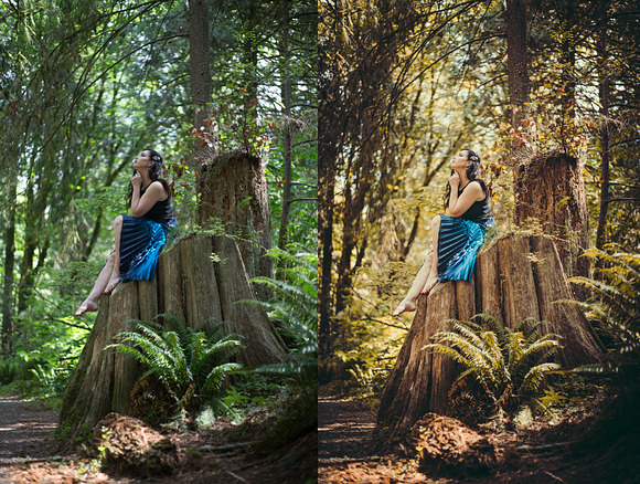 Magical Woods 10 Lightroom presets in Add-Ons - product preview 5