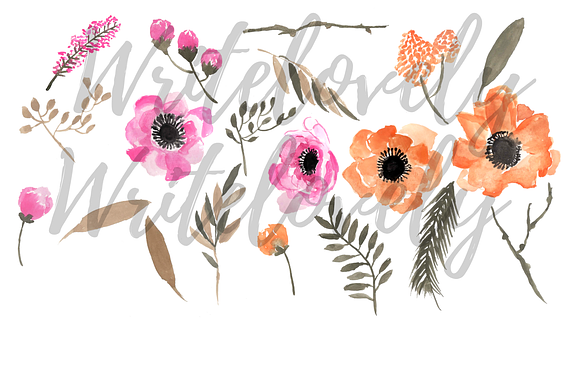 Watercolor Anemone Clipart in Illustrations - product preview 1