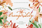 Orange lily Watercolor png