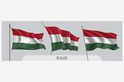 Set of Hungary waving flags vector