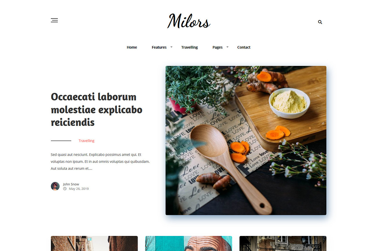 Milors - Elegant WordPress Blog Them in WordPress Blog Themes - product preview 8