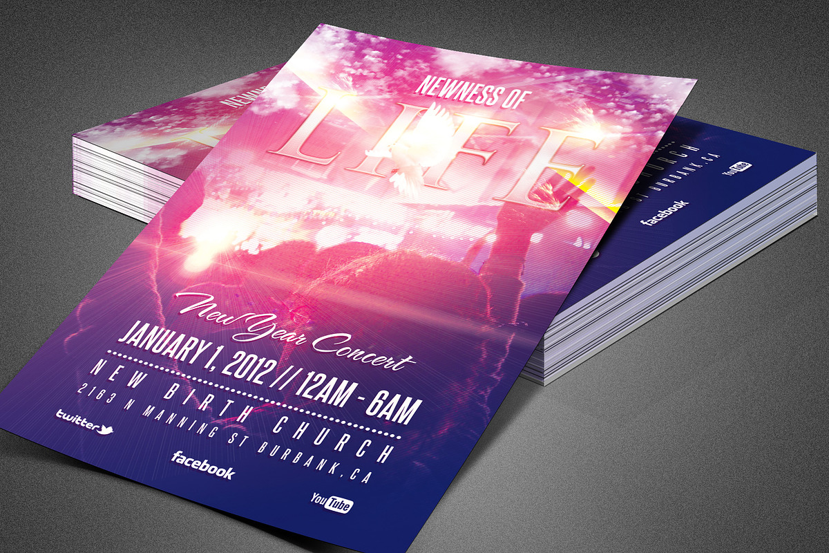 Newness of Life Church Flyer in Flyer Templates - product preview 8