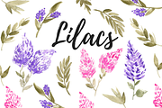 watercolor lilac floral clipart