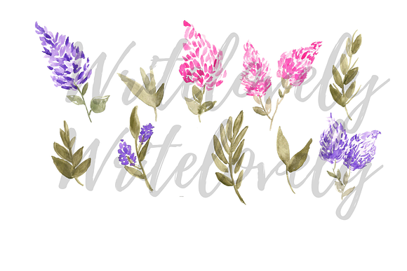 watercolor lilac floral clipart in Illustrations - product preview 1