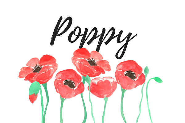 Watercolor Poppy Clipart