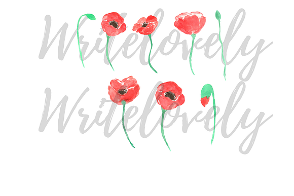 Watercolor Poppy Clipart in Illustrations - product preview 1