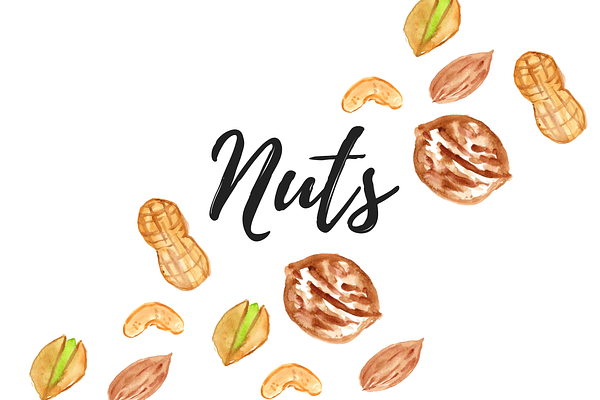 Watercolor Nut Clipart