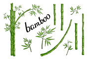 Bamboo collection