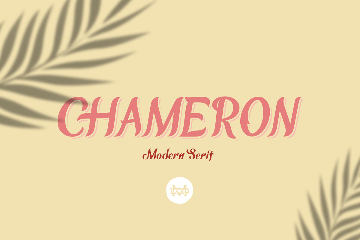 CHAMERON in Serif Fonts - product preview 8