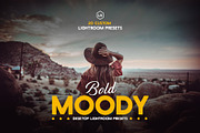 Bold Moody Lightroom Presets