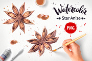 Star Anise Watercolor