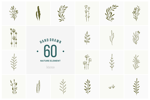 hand drawn nature element in Illustrations - product preview 1