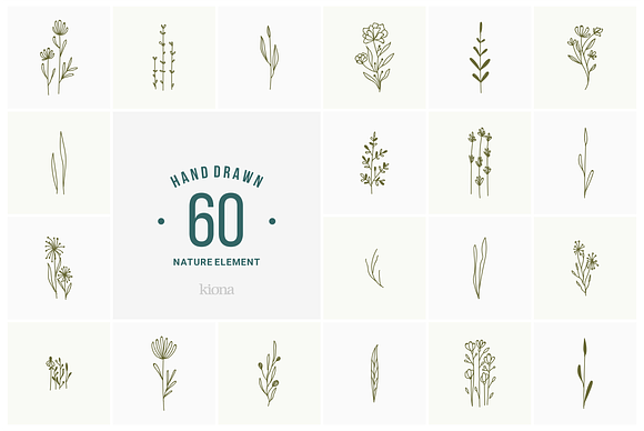 hand drawn nature element in Illustrations - product preview 2