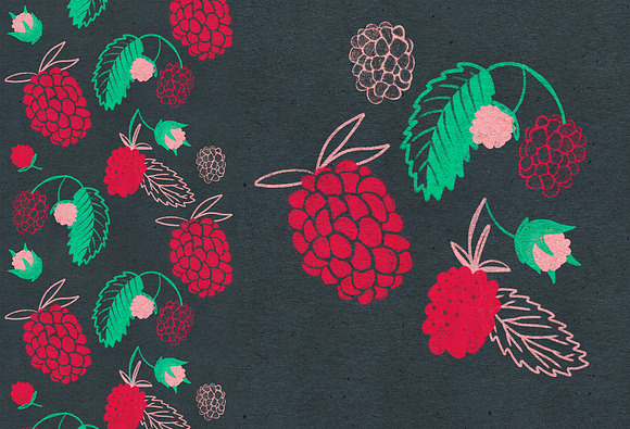 Vintage hand drawn textured fruits in Illustrations - product preview 12