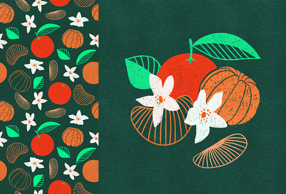 Vintage hand drawn textured fruits in Illustrations - product preview 13