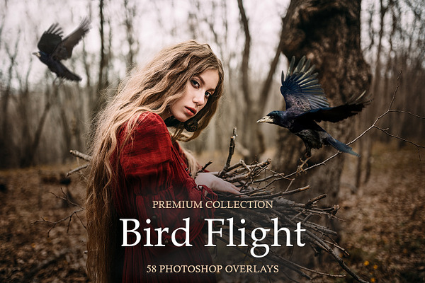 Bird Flight Photoshop Overlays