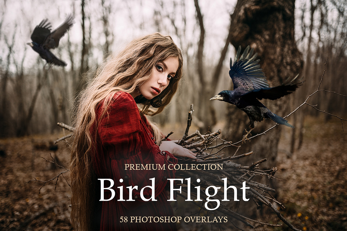 Bird Flight Photoshop Overlays in Add-Ons - product preview 8