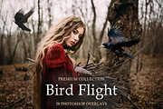 Bird Flight Photoshop Overlays