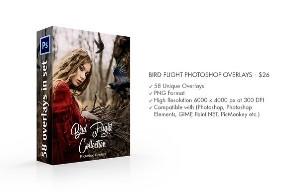 Bird Flight Photoshop Overlays in Add-Ons - product preview 1