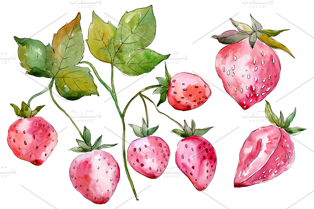 Strawberry red Watercolor png in Illustrations - product preview 8