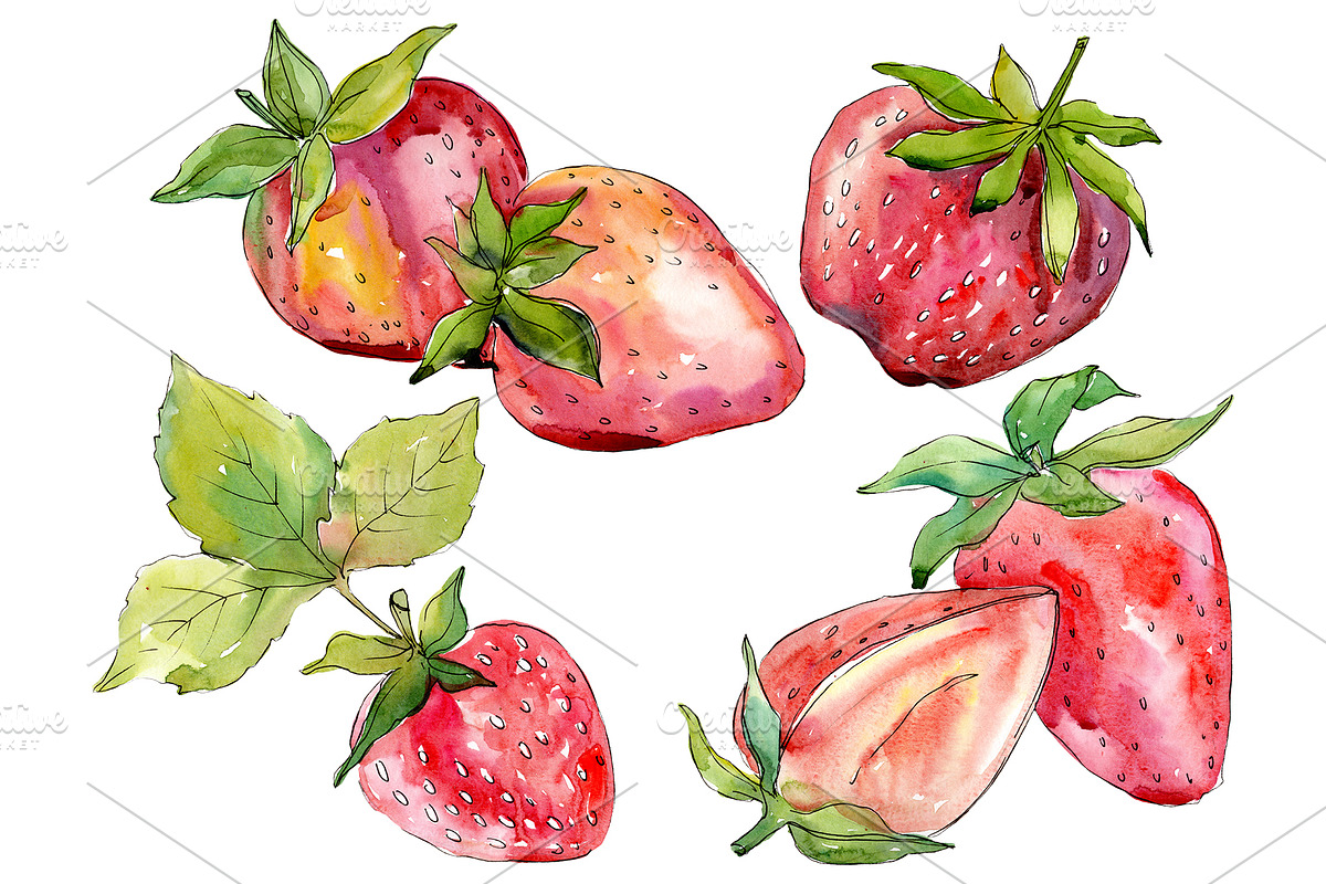 Strawberry "Alba" watercolor png in Illustrations - product preview 8