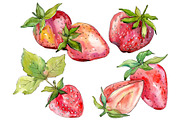 Strawberry "Alba" watercolor png