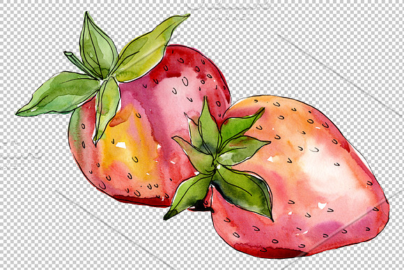 Strawberry "Alba" watercolor png in Illustrations - product preview 1