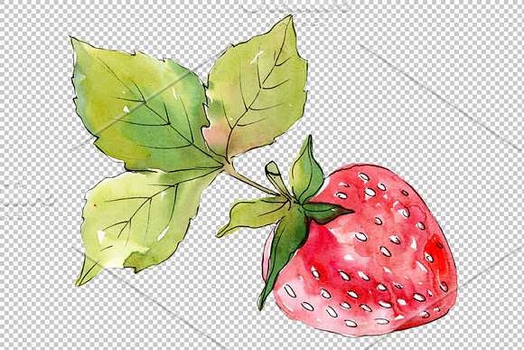Strawberry "Alba" watercolor png in Illustrations - product preview 2