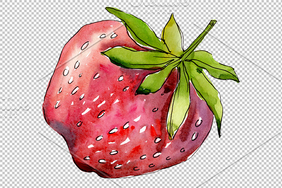 Strawberry "Alba" watercolor png in Illustrations - product preview 3