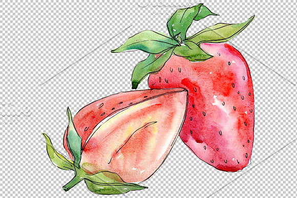 Strawberry "Alba" watercolor png in Illustrations - product preview 4