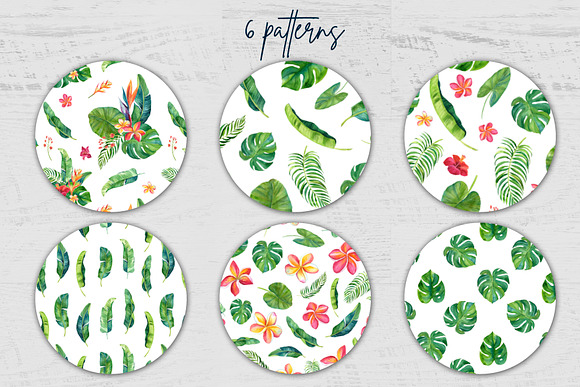 Tropic leaves&flowers Watercolor set in Illustrations - product preview 5