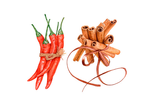 Watercolor Spices in Illustrations - product preview 3