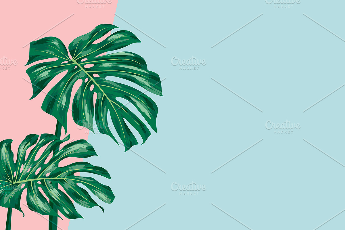 Monstera deliciosa in Illustrations - product preview 8