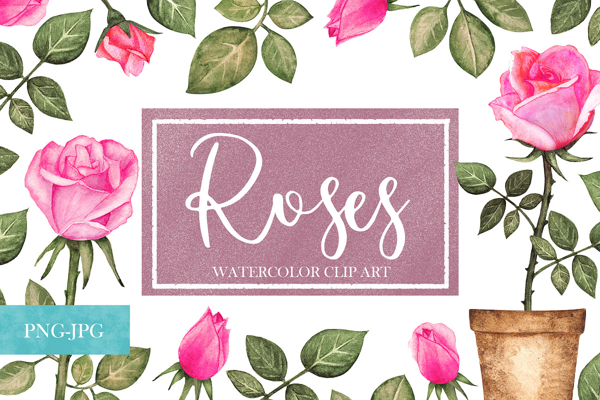 Watercolor Pink Roses in Illustrations - product preview 8